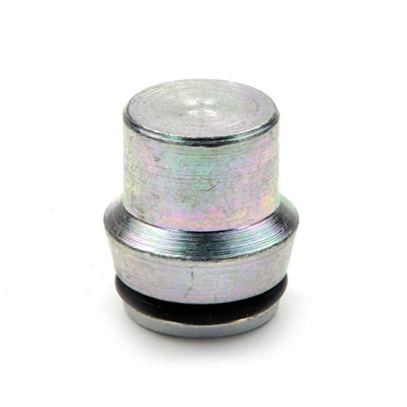 10L/S Blanking Plug c/w O'Ring