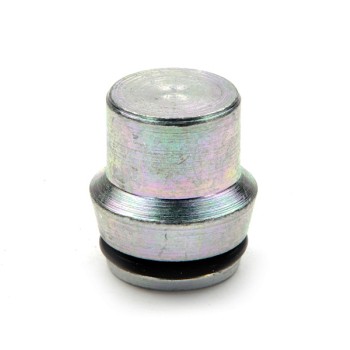 20S Blanking Plug c/w O'Ring